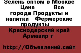 Зелень оптом в Москве. › Цена ­ 600 - Все города Продукты и напитки » Фермерские продукты   . Краснодарский край,Армавир г.